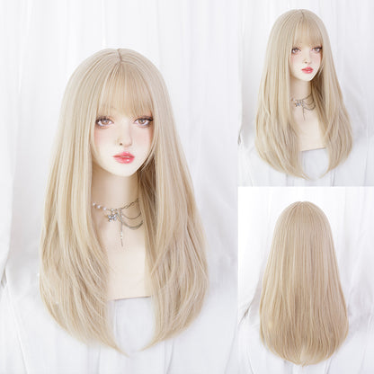 Synthetic Long Straight Hair Wig