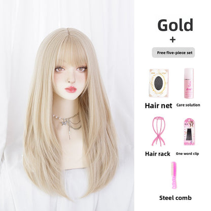 Synthetic Long Straight Hair Wig