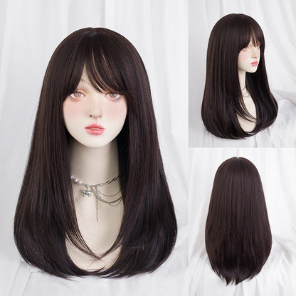Synthetic Long Straight Hair Wig